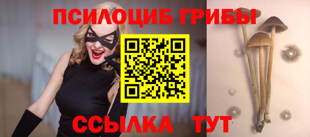 Галлюциногенные грибы Psilocybine cubensis Нарткала